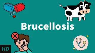 Brucellosis, Causes, Signs and Symptoms, Diagnosis and Treatment.