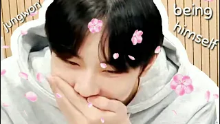 jungwon being himself for 8 minutes straight (ft. enhypen/members)