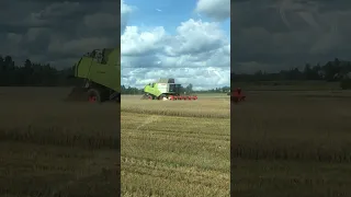 Claas Tucano Getting Work Done