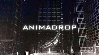 ANIMADROP | EPIC Mix