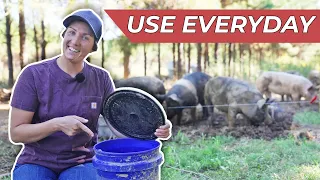 20 Must-Have Tools for Pastured Pigs