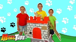 🏰 Construimos un castillo de carton para el gato Bills 👑