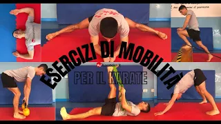 I Migliori Esercizi di Mobilità Articolare per il Karate