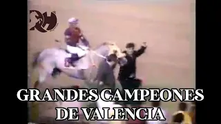 Grandes campeones en Valencia Parte 1