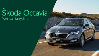 Škoda | Škoda Octavia | Škoda Octavia'yı Yakından Tanıyalım