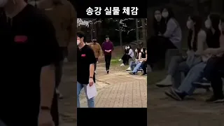 송강 실물 체감하기