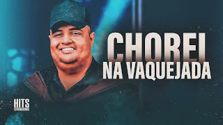 CINCO DA MANHÃ O DIA AMANHECENDO NA PISTA AINDA TEM CAVALO CORRENDO - TARCISIO DO ACORDEON