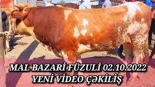 FÜZULİ MAL BAZARİ 02.10.2022 YENİ VİDEO ÇƏKİLİŞ #mal #bazari #füzuli #qulu #beyleqanlı