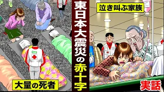 【実話】東日本大震災の赤十字。大量の死者…泣き叫ぶ家族。