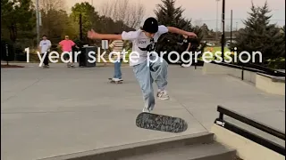 My insane 1 year skate progression