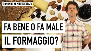 Fa bene o fa male il formaggio?