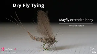 Dry Fly Tying - Mayfly extended body - Foam and Hare hair - Tutorial fly tying - by Guido Scala