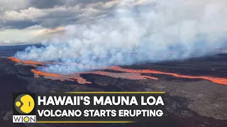 Hawaii's Mauna Loa volcano erupts for the first time in almost 40 years | International News | WION