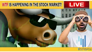 WHAT’S HAPPENING? Stock Market Crash Paused, Stock Market Rally GAME ON! Learn, Trade, Profit LIVE!