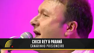 Chico Rey & Paraná - Canarinho Prisioneiro - Marco Brasil 10 Anos