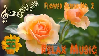 Relax Music Flower #2 2020 NEW 58 Minutes Relax Meditation Study  Yoga Rest Sleep music