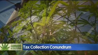 How Will California Collect Pot Tax From A Cash-Based Industry?