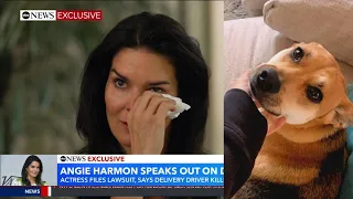 Angie Harmon Tearfully Speaks Out After Driver Shoots Dog