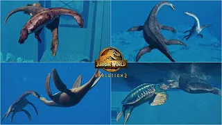 All Prehistoric Marine Species Social Interactions and Max Egg Introduction