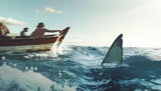 Great White Shark DESTROYS Fishing Boat!