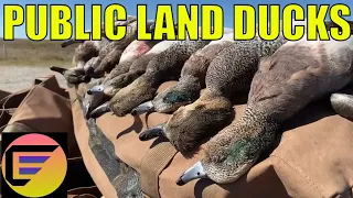 PUBLIC LAND Mixed Bag out of the Duck Boat