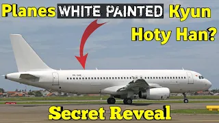 Why Are Planes Nearly Always  Painted White?