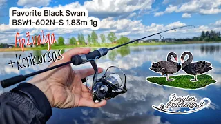 Avižadrebis - Favorite Black Swan BSW1-602N-S