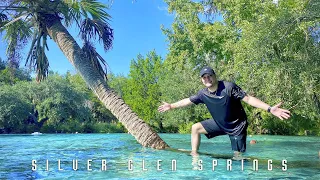 Rio en OCALA FLORIDA usa Tour parque SILVER GLEN SPRINGS