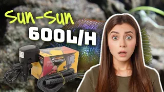 🔴BOMBA Submersa Sunsun 600l/h!! (É ruim?)