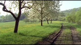 ( Unter unserem Himmel - 50 Jahre)  Streuobstwiesen in Franken - Eine vergessene Landschaft