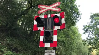 *VERY RARE WIGWAGS* Forestry Level Crossing (Gwynedd) Wednesday 13.08.2019