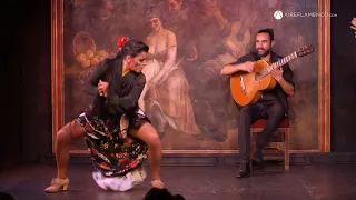 Baile Flamenco: Anabel Moreno en Corral de la Morería