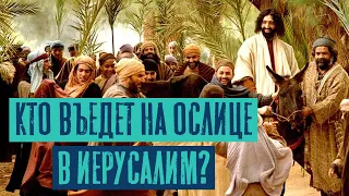 Кто въедет на ослице в Иерусалим? Захария 9:9 | Раввин Михаил Финкель