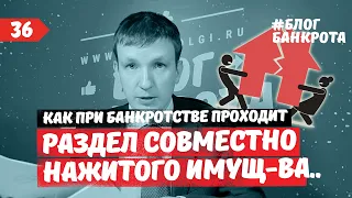 Раздел совместно нажитого имущества супругов при банкротстве. Блог Банкрота. Выпуск 36.