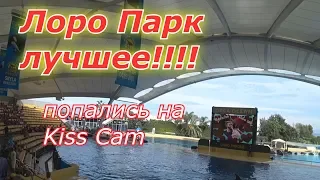 Loro Parque. Тенерифе, ноябрь 2018.