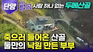 [충북 단양] "고단한 일상이 곧 행복" 마을에서 집까지 꼬박 1시간, 둘만의 무릉도원을 만든 5년 차 귀촌 부부┃평생 도시에서 자란 허당 농부 남편┃#한국기행 #방방곡곡