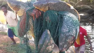 Wow !!!!! Big Fishing Hunting | Sri 🇱🇰 Lanka Fishing Video !! Fishing With Suresh