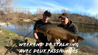 weekend de stalking avec deux passionnés * pêche a la carpe en rivière avec David fusaro *