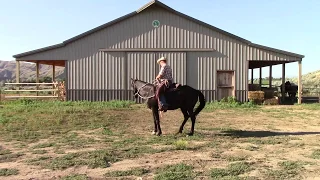 Day 10 Saddle horse footwork, maneuvers demonstration