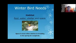 Winter Bird Feeding Webinar Recording