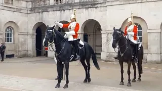 The Horse Copy's The Guard 24 April 2022 #thequeensguard 😂😂😂😂😂😂😂😂