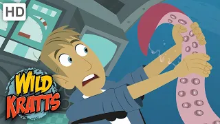 Wild Kratts | Whale of a Squid | Full Episode | Season 1