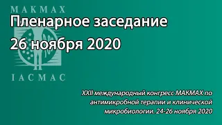 Пленарное заседание 26 ноября 2020