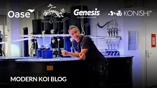 Modern Koi Blog #6204 - Wasserwerte und deren Bedeutung für Einsteiger ins Koihobby