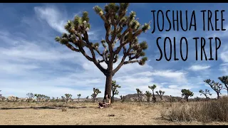 Solo Joshua Tree Trip VLOG