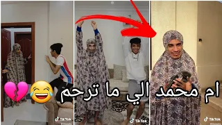 تجميع مقاطع ميتو الشامسي تيك توك | لا يفوتك يموت من الضحك 😂💔