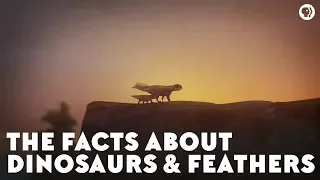 The Facts About Dinosaurs & Feathers