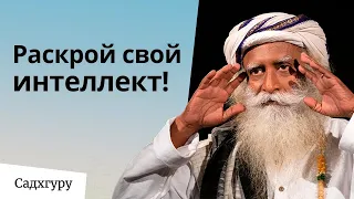 Раскрой свой интеллект!