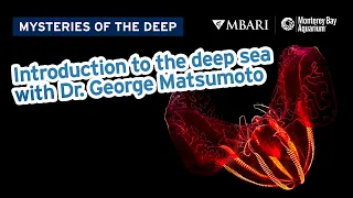 Mysteries of the Deep with MBARI's Dr. George Matsumoto and the Aquarium!