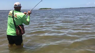 Capt Ed Zyak Sight fishing Snook with a DOA Shrimp